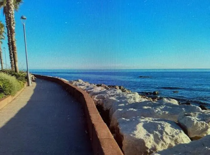 Pin Rollan Saint-Mandrier-sur-Mer