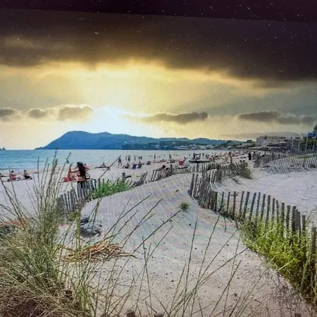 Pin Rollan * Saint-Mandrier-sur-Mer